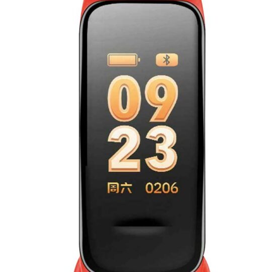 Montre connectée Horbinor – A9721